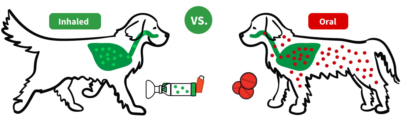 Dogs inhaled vs oral