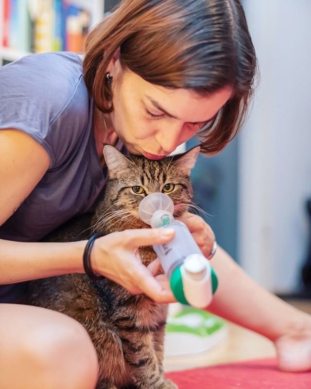 woman with inhaler and chamber and cat