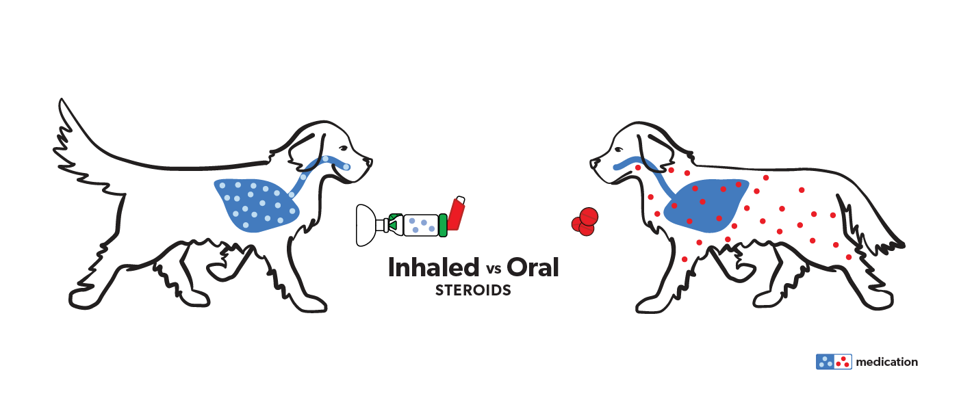 Illustration of a dog with dots representing systemic steroids through the body and another dog with a chamber with inhaled steroids in the lung