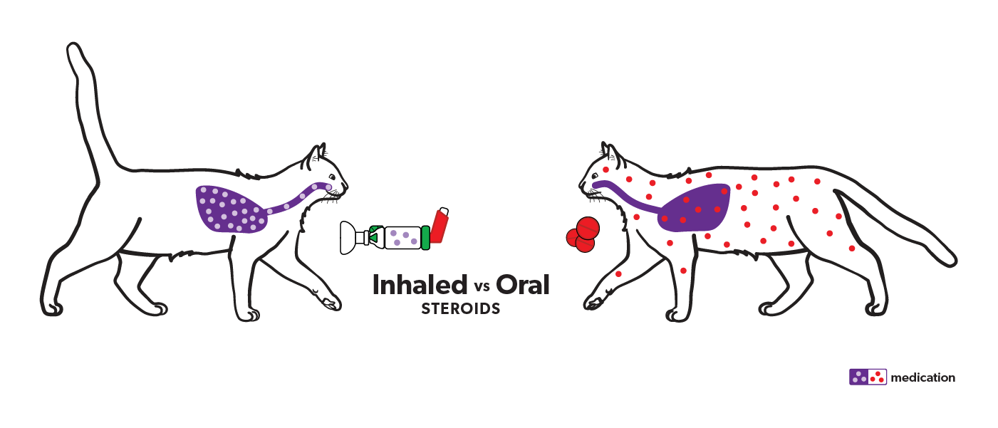 Illustration of 1 cat with dots representing systemic steroids through the body and another cat with a chamber with inhaled steroids in the lung